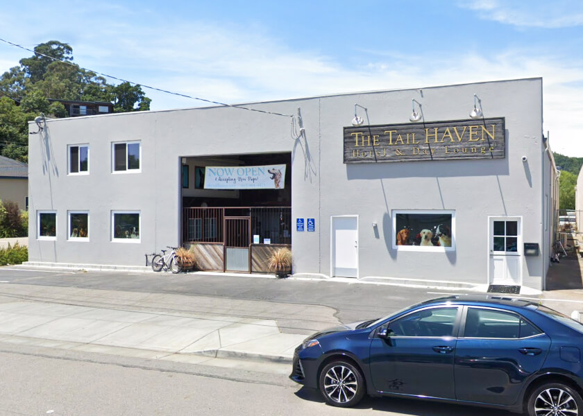 The Tail Haven Hotel & Day Lounge